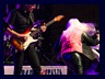 08_Concerto